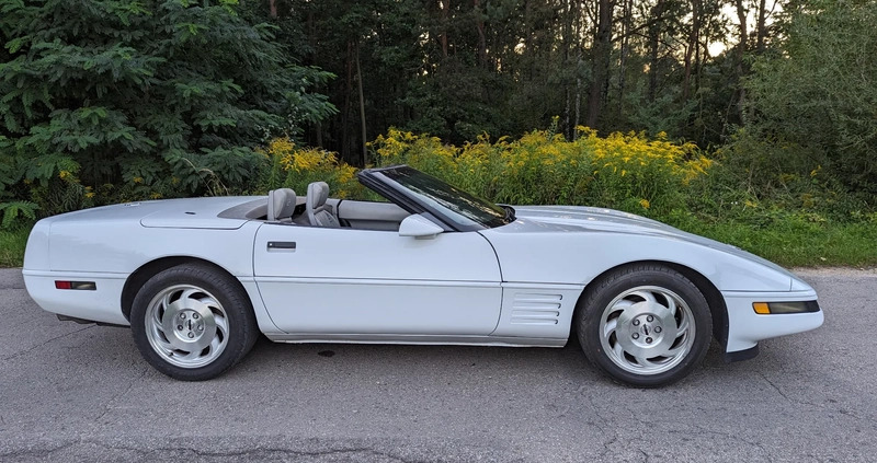 Chevrolet Corvette cena 68000 przebieg: 194000, rok produkcji 1993 z Chrzanów małe 704